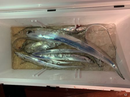 オーシャンスター(Ocean Star) 釣果