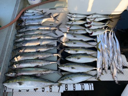 オーシャンスター(Ocean Star) …