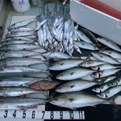 オーシャンスター(Ocean Star) 釣果