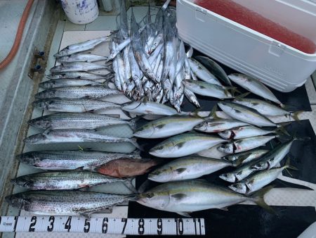 オーシャンスター(Ocean Star) …