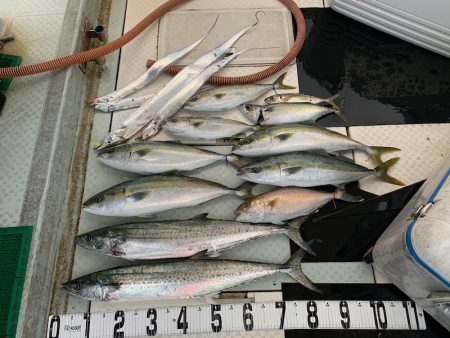 オーシャンスター(Ocean Star) …