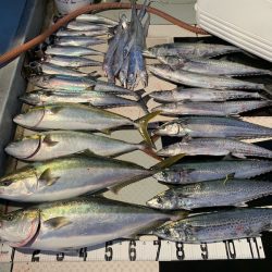 オーシャンスター(Ocean Star) 釣果