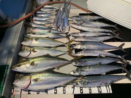 オーシャンスター(Ocean Star) …