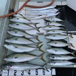 オーシャンスター(Ocean Star) 釣果