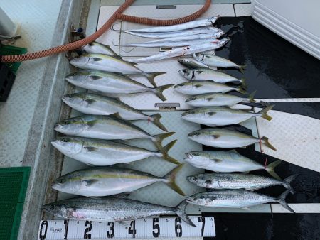 オーシャンスター(Ocean Star) 釣果