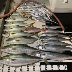 オーシャンスター(Ocean Star) 釣果