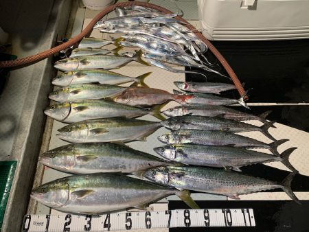 オーシャンスター(Ocean Star) …