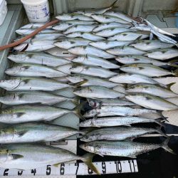 オーシャンスター(Ocean Star) 釣果