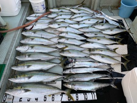 オーシャンスター(Ocean Star) 釣果