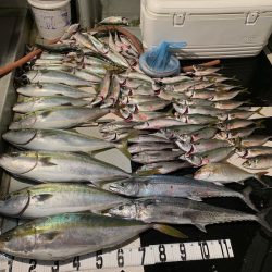 オーシャンスター(Ocean Star) 釣果