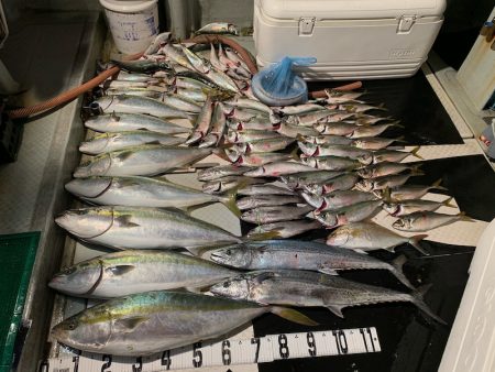 オーシャンスター(Ocean Star) …