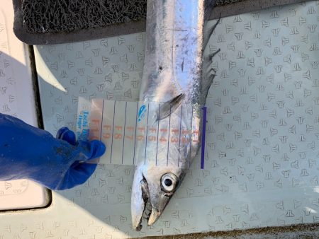 オーシャンスター(Ocean Star) 釣果