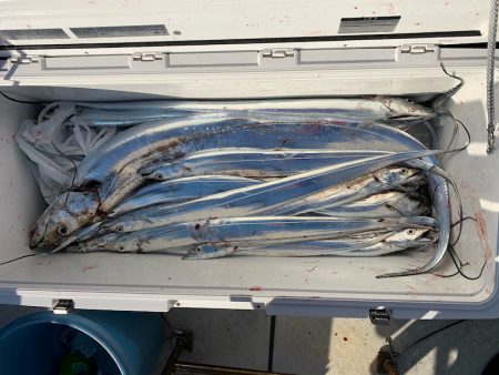 オーシャンスター(Ocean Star) 釣果