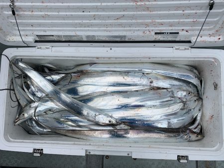 オーシャンスター(Ocean Star) 釣果