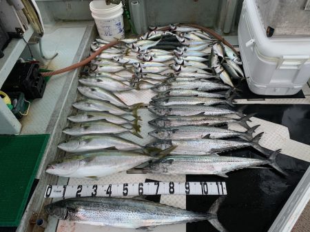 オーシャンスター(Ocean Star) 釣果