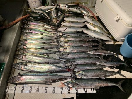 オーシャンスター(Ocean Star) …