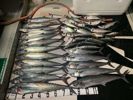 オーシャンスター(Ocean Star) …