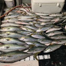 オーシャンスター(Ocean Star) 釣果