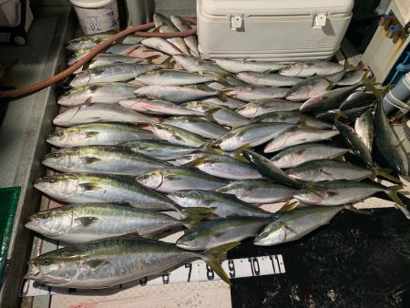 オーシャンスター(Ocean Star) 釣果