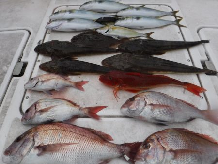 ＪＤＩ　Ｒａｃｉｎｇ　シールズマリンレジャ…