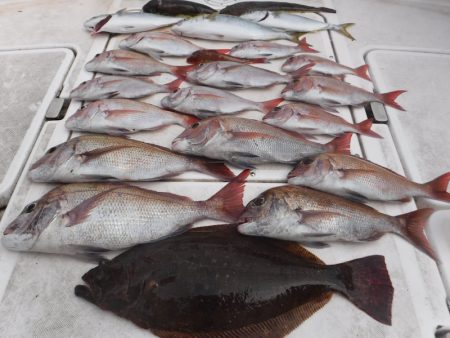 ＪＤＩ　Ｒａｃｉｎｇ　シールズマリンレジャ…