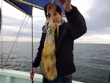 ひな丸 釣果