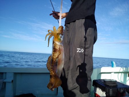 ひな丸 釣果