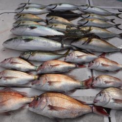 JDI Racing シールズマリンレジャー 釣果