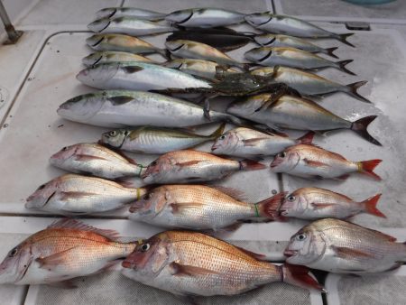 ＪＤＩ　Ｒａｃｉｎｇ　シールズマリンレジャ…