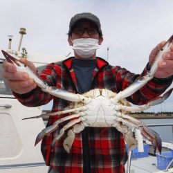 JDI Racing シールズマリンレジャー 釣果