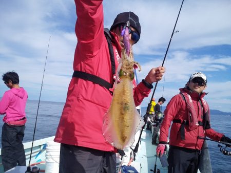 ひな丸 釣果