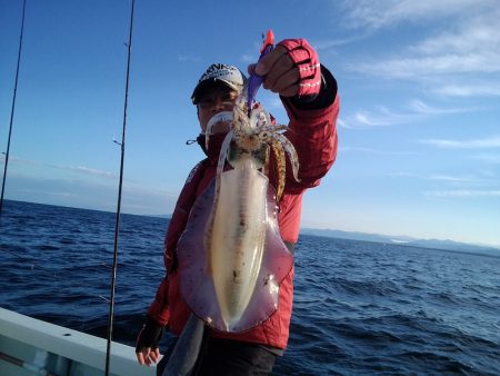 ひな丸 釣果