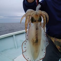 ひな丸 釣果