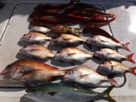 ＪＤＩ　Ｒａｃｉｎｇ　シールズマリンレジャ…