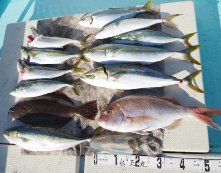 水天丸 釣果