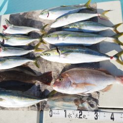水天丸 釣果