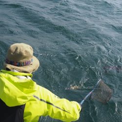 水天丸 釣果