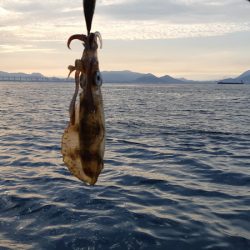 KIM Fishing Guide Service 釣果