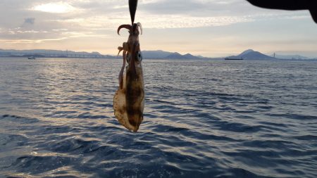 KIM Fishing Guide Service 釣果