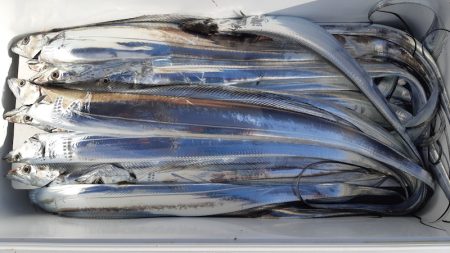 KIM Fishing Guide Ser…