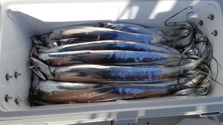 KIM Fishing Guide Service 釣果