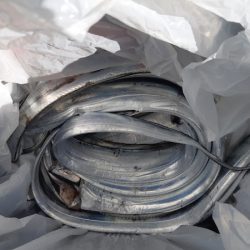 KIM Fishing Guide Service 釣果