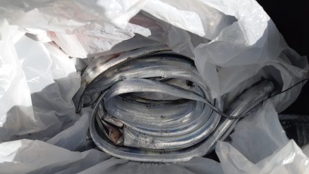 KIM Fishing Guide Service 釣果