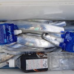 KIM Fishing Guide Service 釣果