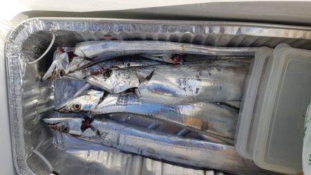 KIM Fishing Guide Service 釣果