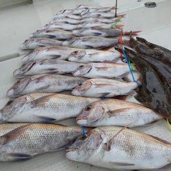 KIM Fishing Guide Service 釣果