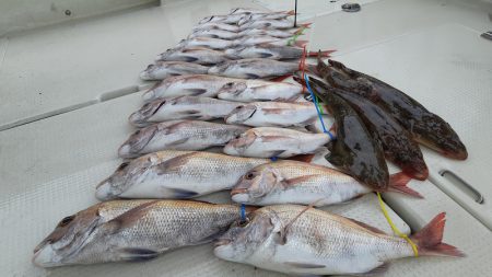 KIM Fishing Guide Ser…