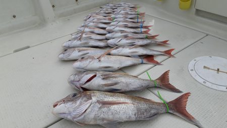KIM Fishing Guide Service 釣果