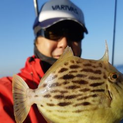 KIM Fishing Guide Service 釣果