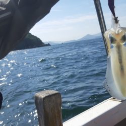 KIM Fishing Guide Service 釣果